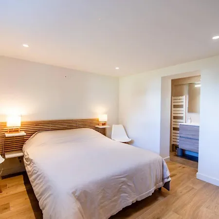 Capbreton. Bakensack Avec Terrasse Pour 12 Personnes Wifi Gratuit Villa